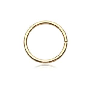 Piercing Jewellery Hoop/Ring Gold Seamless Infinite Hoop