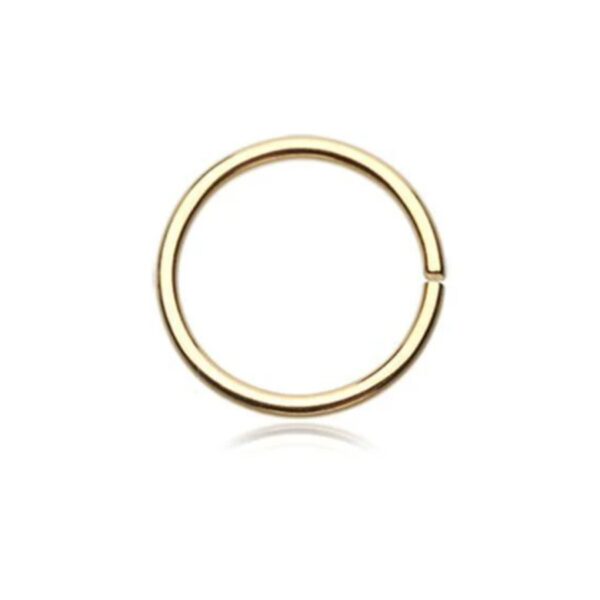 Piercing Jewellery Hoop/Ring Gold Seamless Infinite Hoop